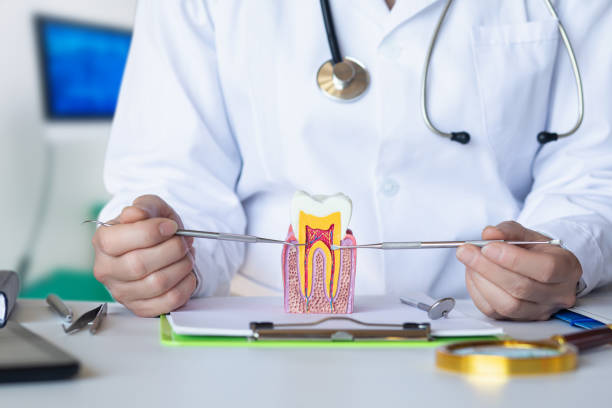 Best Urgent Tooth Repair  in Glencoe, FL